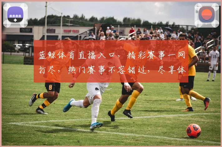 蓝鲸体育直播入口，精彩赛事一网打尽，热门赛事不容错过，尽享体育盛宴，独家直播，快来加入