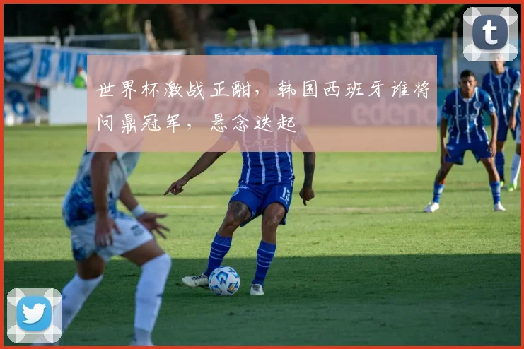 世界杯激战正酣，韩国西班牙谁将问鼎冠军，悬念迭起