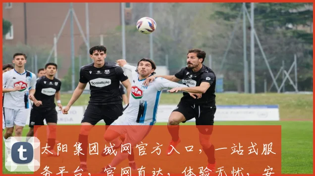太阳集团城网官方入口，一站式服务平台，官网直达，体验无忧，安全可靠，三重保障，轻松登录。