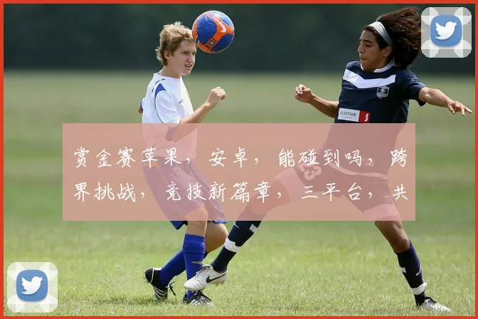 赏金赛苹果，安卓，能碰到吗，跨界挑战，竞技新篇章，三平台，共舞未来。