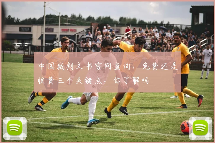 中国裁判文书官网查询，免费还是收费三个关键点，你了解吗