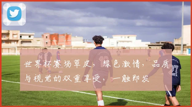 世界杯赛场草皮，绿色激情，品质与视觉的双重享受，一触即发