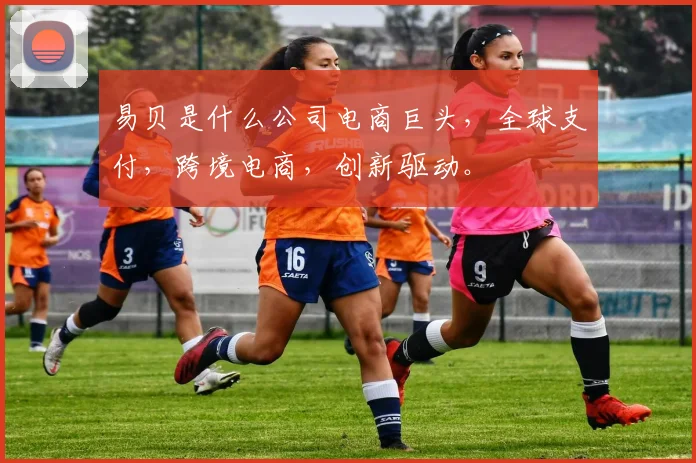 易贝是什么公司电商巨头，全球支付，跨境电商，创新驱动。
