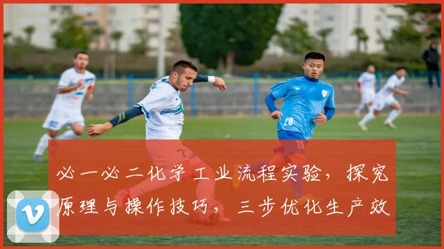 必一必二化学工业流程实验，探究原理与操作技巧，三步优化生产效率，提升技能体验